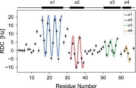 Observed 1H-15N RDCs for proIAPP plotted by residue number.jpg